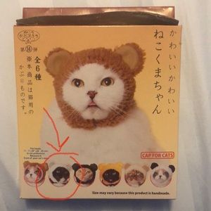 Polar Bear hat for cats! 🐱 🐈‍⬛